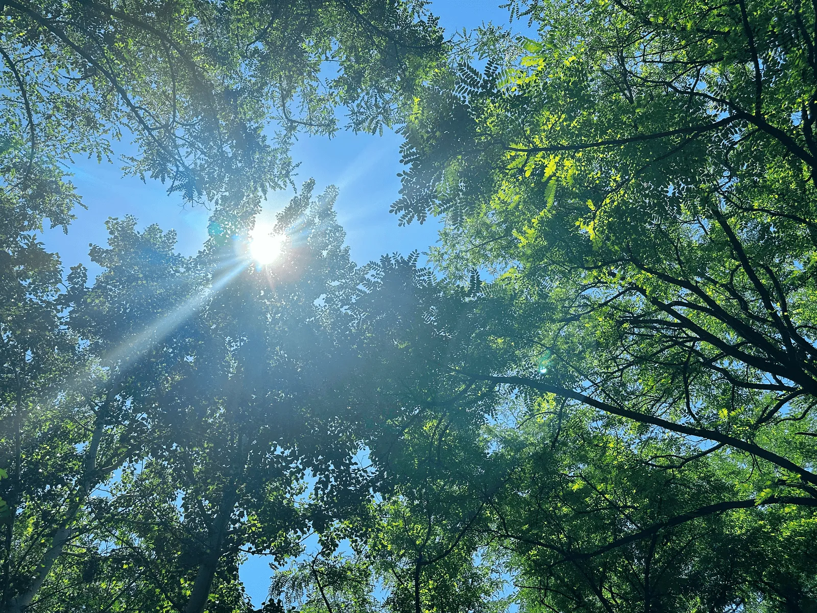 那些天在路上遇见的骑着自行车的老两口